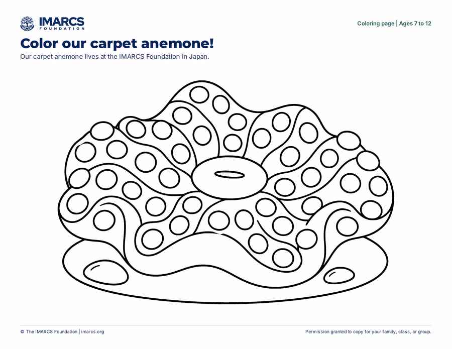 An IMARCS coloring page