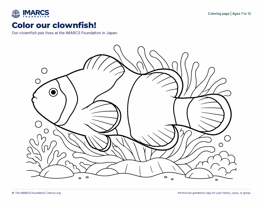 An IMARCS coloring page