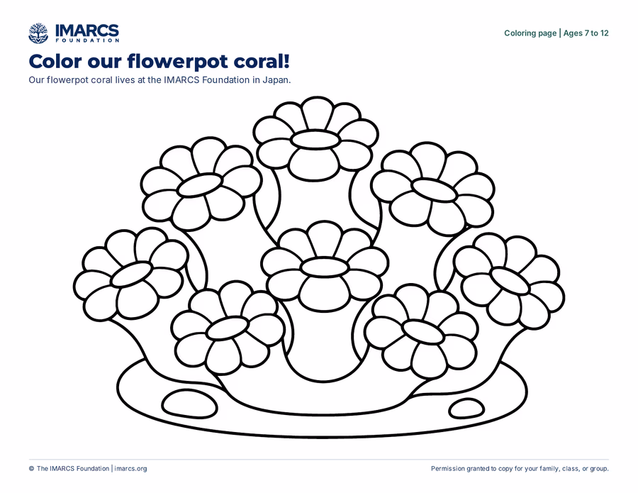 An IMARCS coloring page
