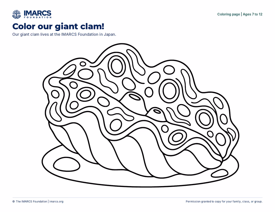 An IMARCS coloring page
