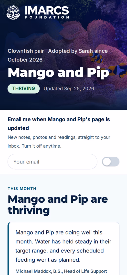 The same page on a phone, with the monthly note and update email switch