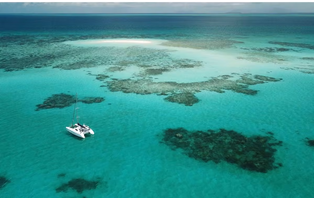 Anchoring Our Future: The Importance of Marine Protected Areas