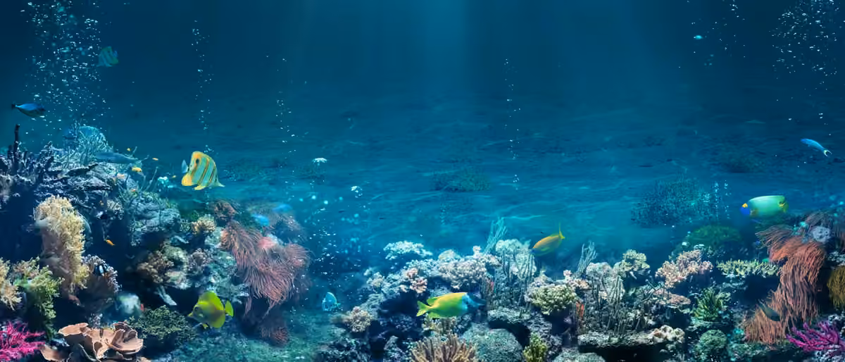 solution_seafloorprotection